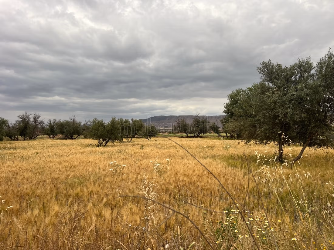 Terrain à vendre à Ait Faska. 
Surface de 3000 m²