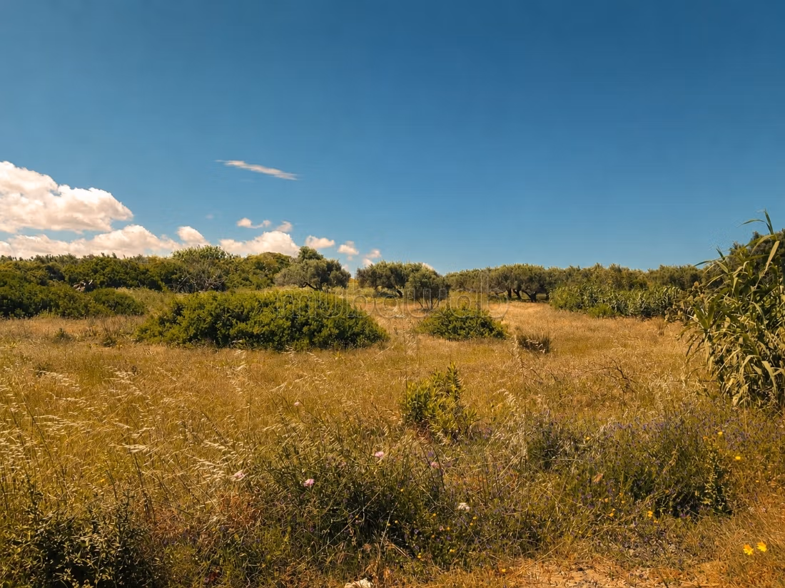 Terreno in vendita – Zaouiet El Mgaiez