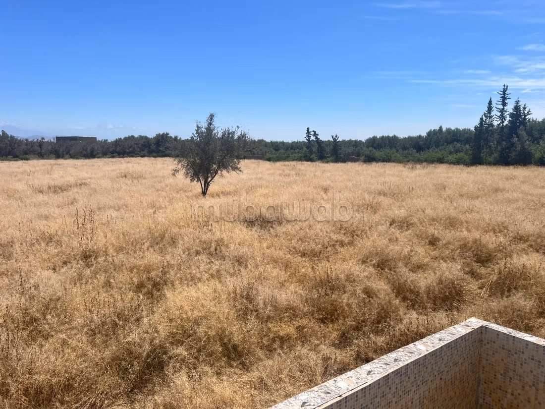 À vendre – Ferme / terrain agricole