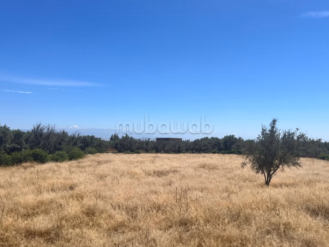 À vendre – Ferme / terrain agricole