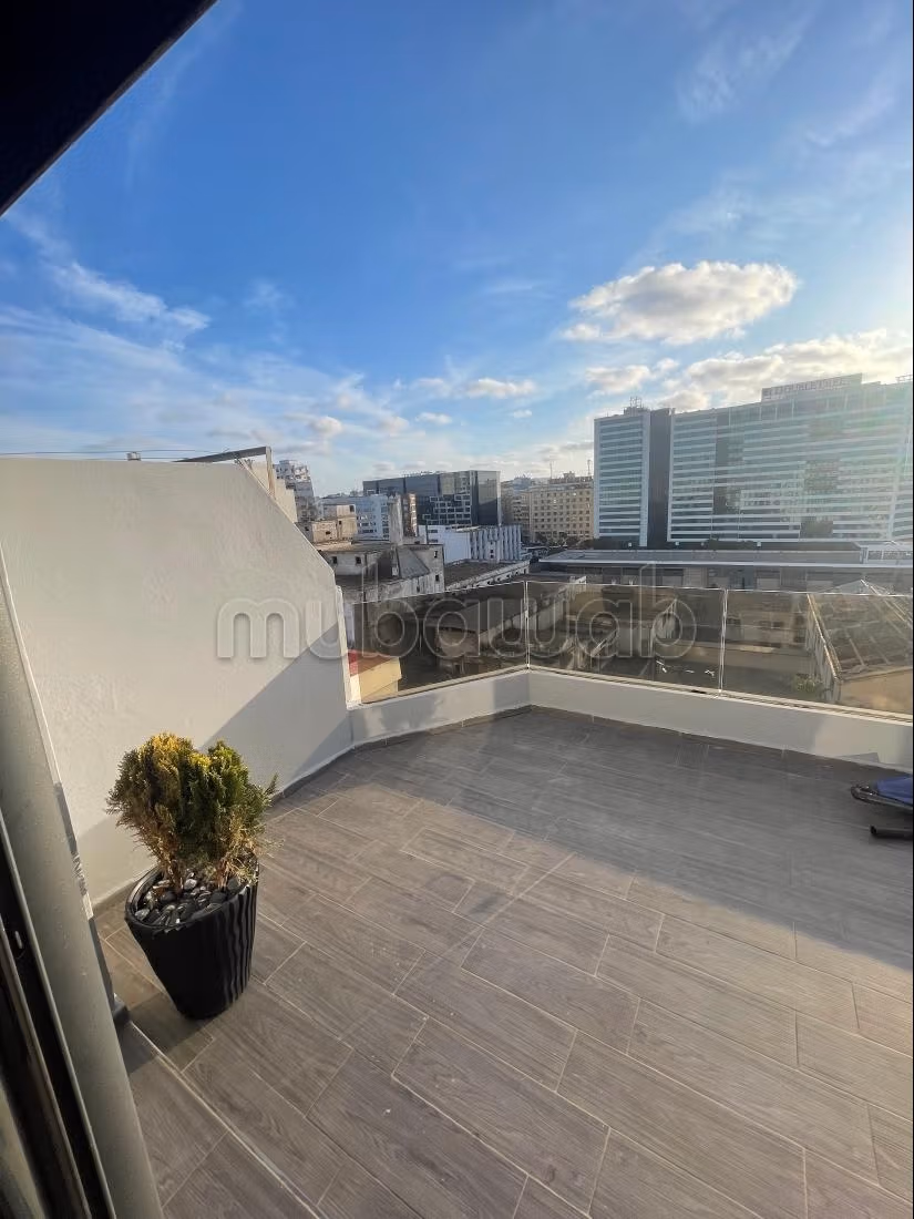 Bel appartement au 8 étage sans vis à vis en location longue durée à belvédère