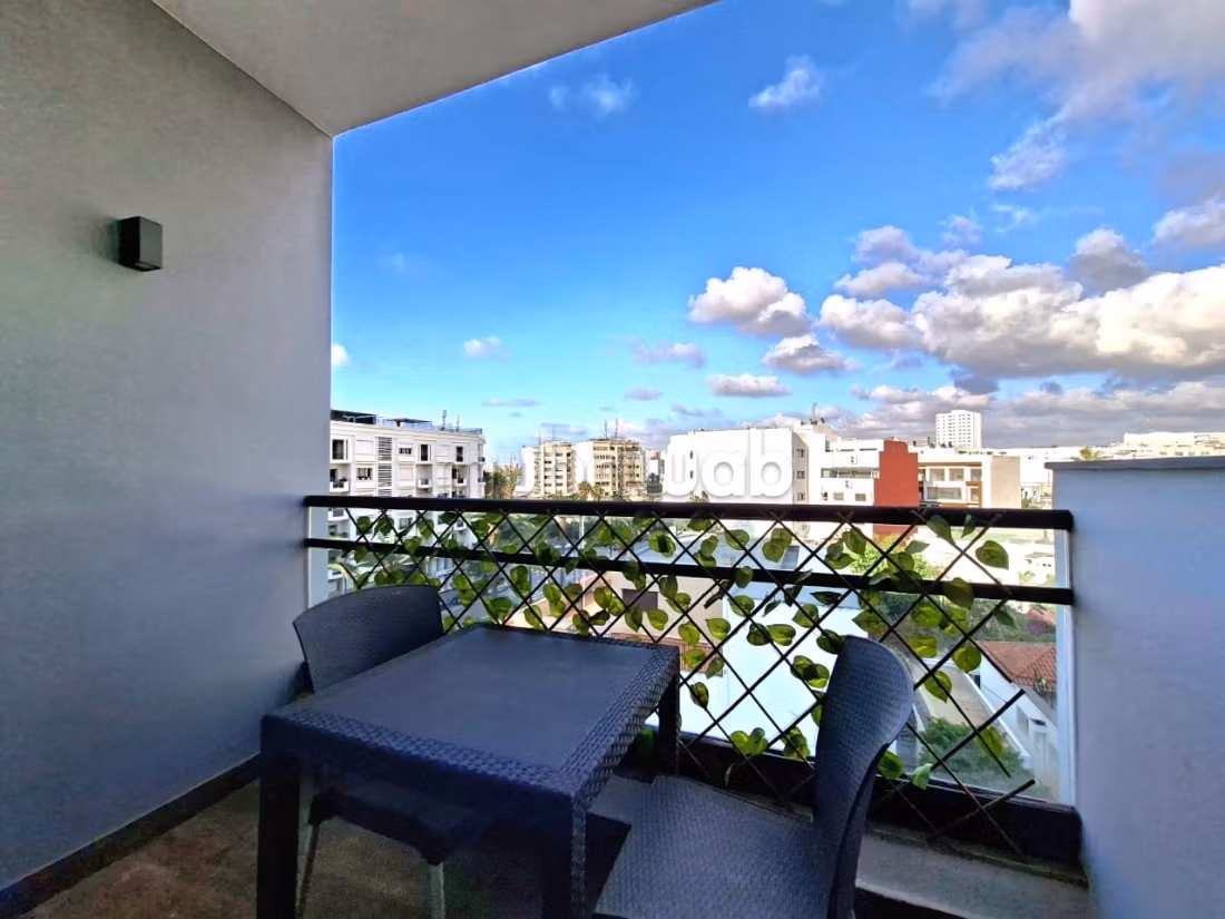 Bellissimo Studio con Terrazza in Affitto PALMIER