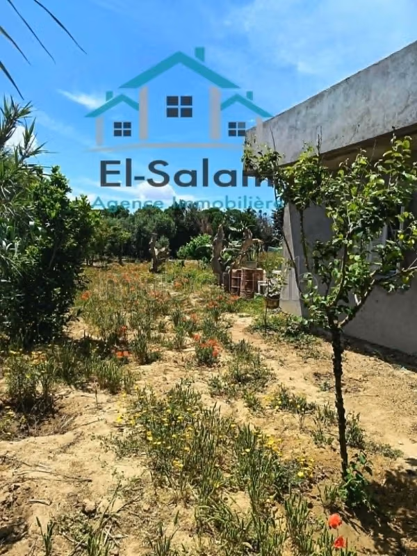 Maison a kelibia 600m²