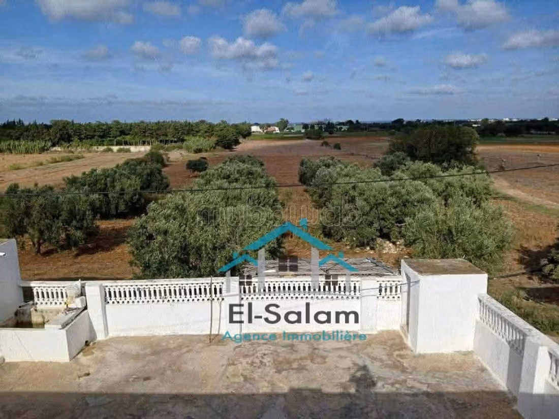 Une ferme a vendre 12700m² situé a dar allouch
