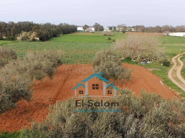 Une ferme a vendre 12700m² situé a dar allouch