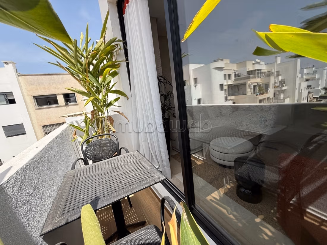 Premium new studio in the princess for rent