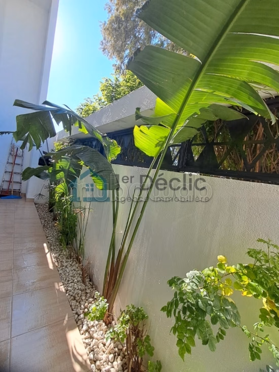 A louer un Duplex haut standing a SIDI DAOUD