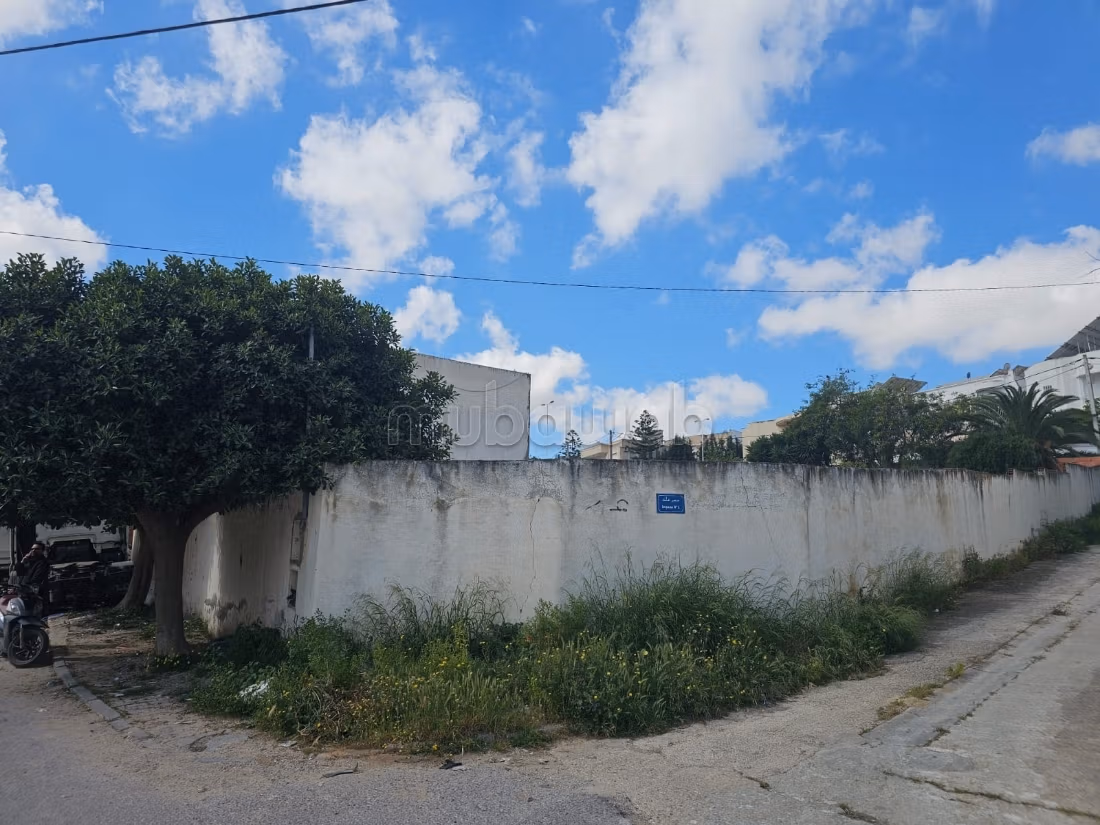 In vendita terreno a Cité El Faouz