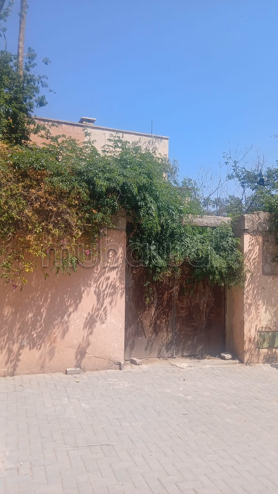 Terrain à vendre avec villa à démolir
R5 guelize