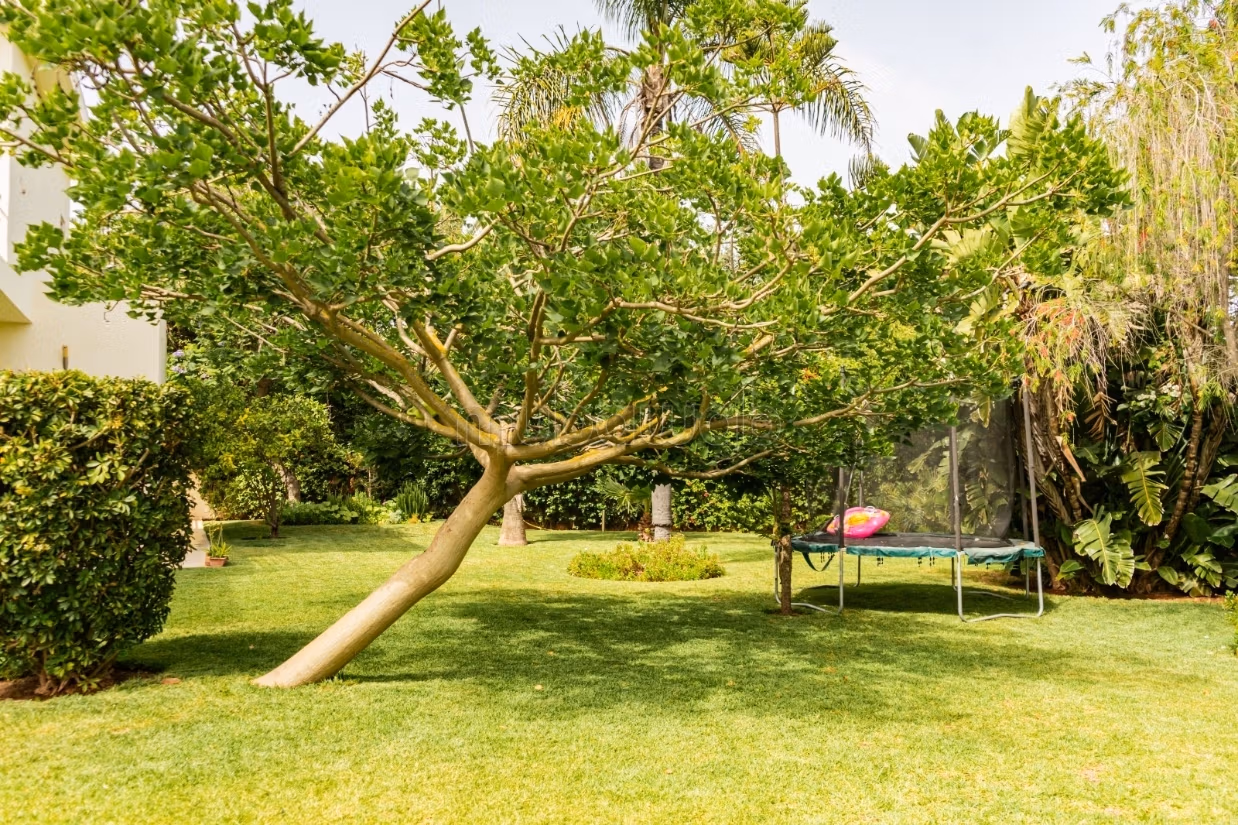 Splendide villa à vendre à Anfa Supérieur. 5 belles chambres. Fenêtres en double vitrage et vue mer