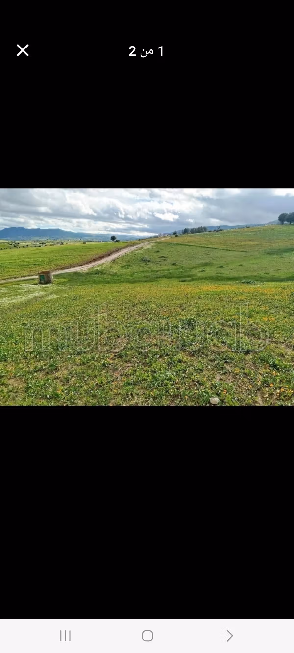 Land for sale in Souk Kdim. Total area 2731 m²