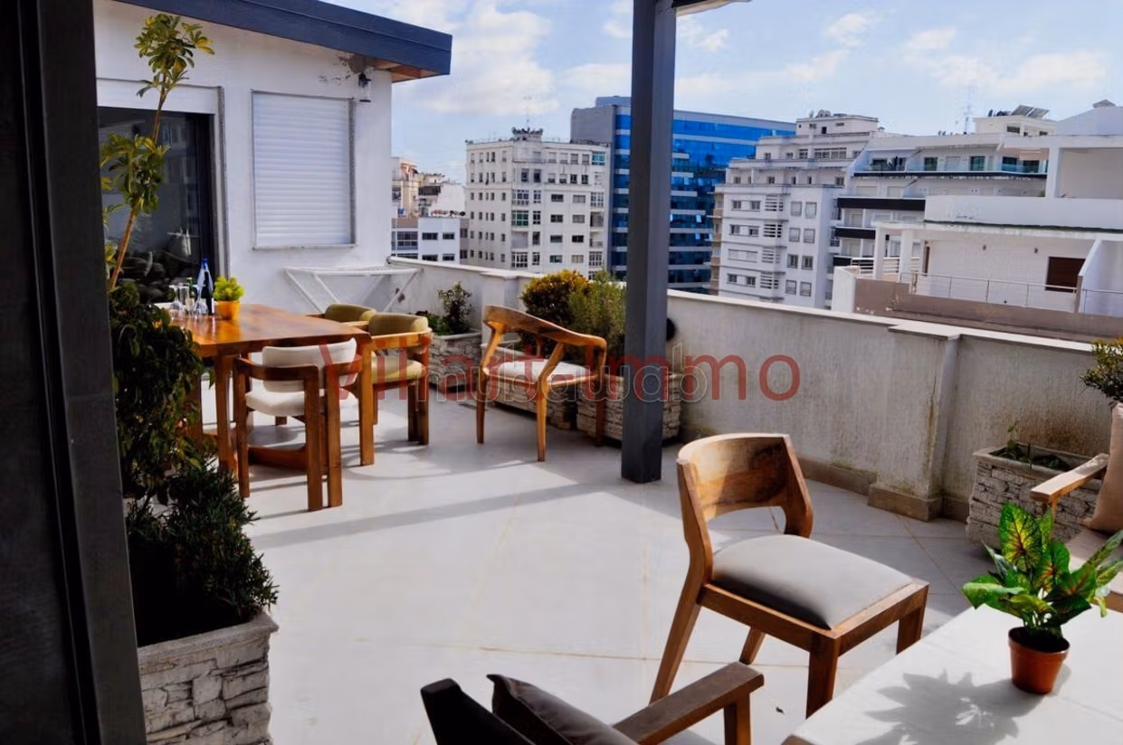 Magnifique et luxueux appartement avec terrasse — 4