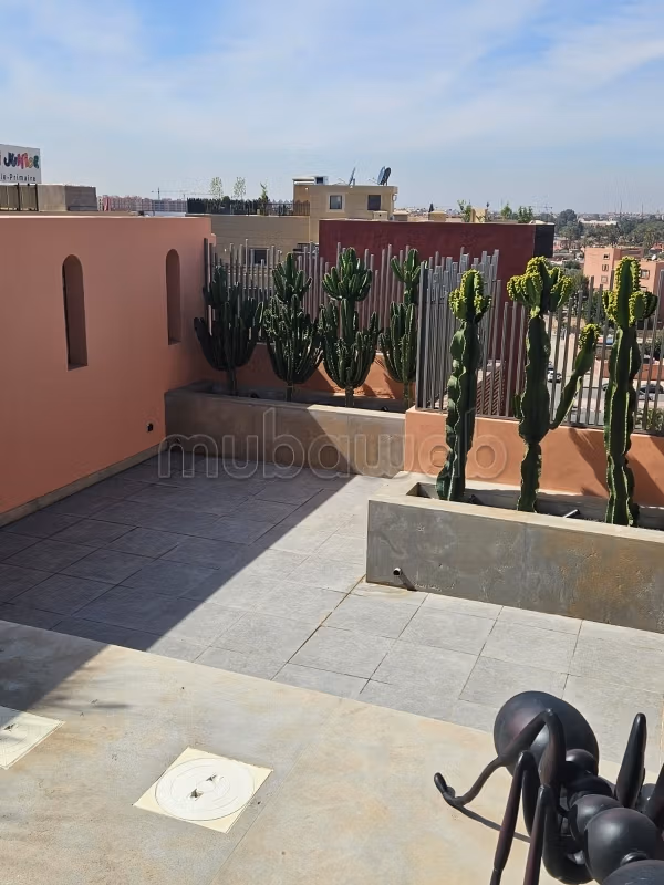 Magnifique Appartement /rooftop