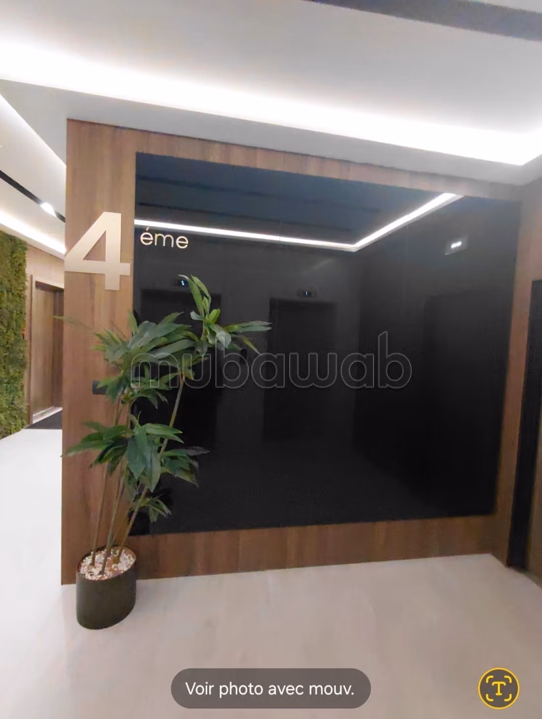 Office plateau