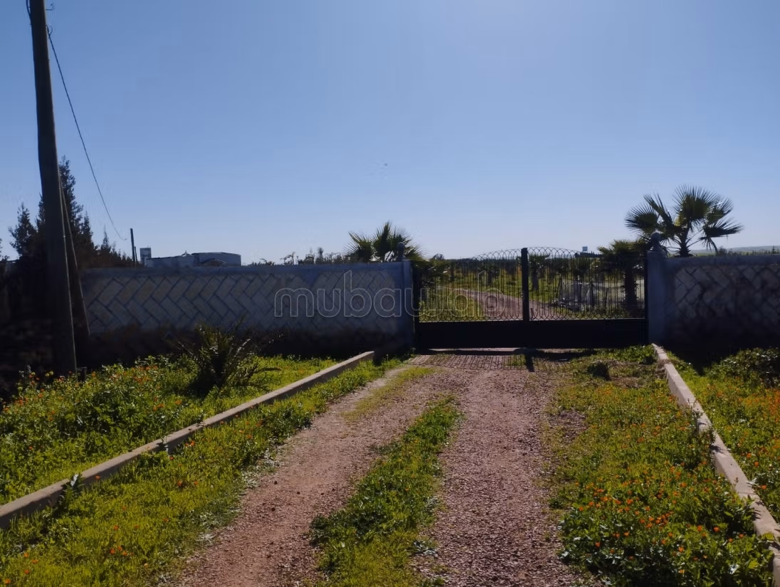 Hermosa granja en venta en Berrechid