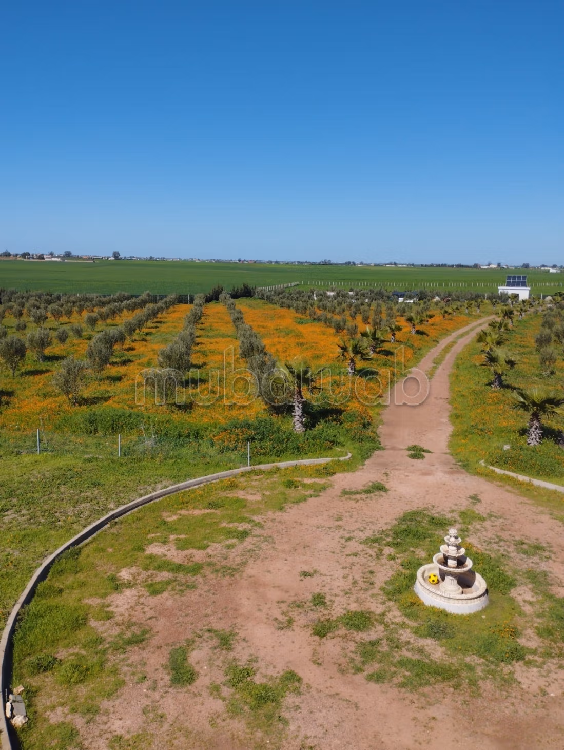 Hermosa granja en venta en Berrechid