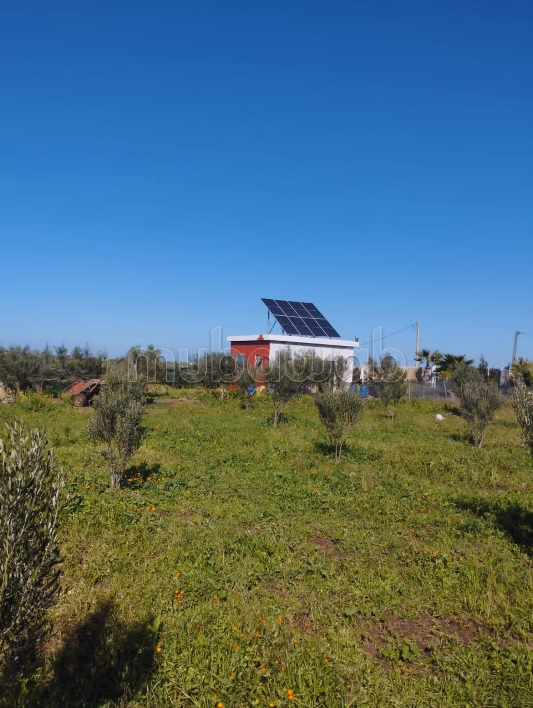 Hermosa granja en venta en Berrechid