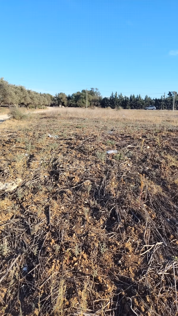 Terrain à acheter à Ariana. Superficie 250 m²