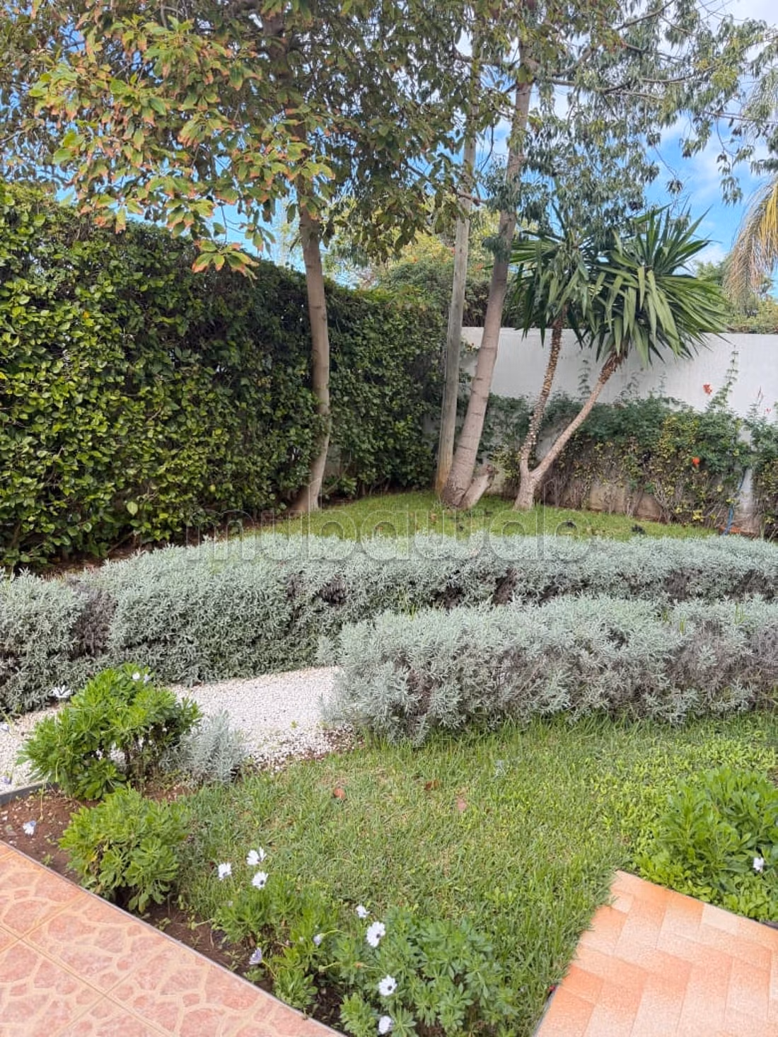 Villa 500 m² à louer pour usage bureau à Souissi