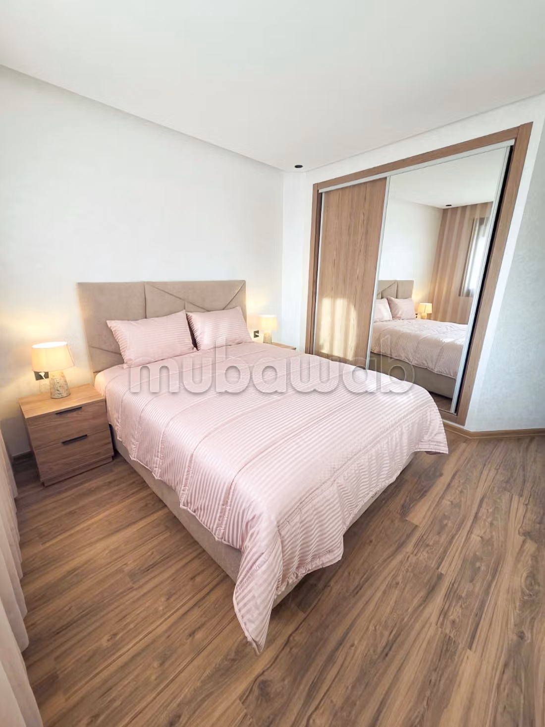 Premium Palmier Studio Directe Contact Eigenaar