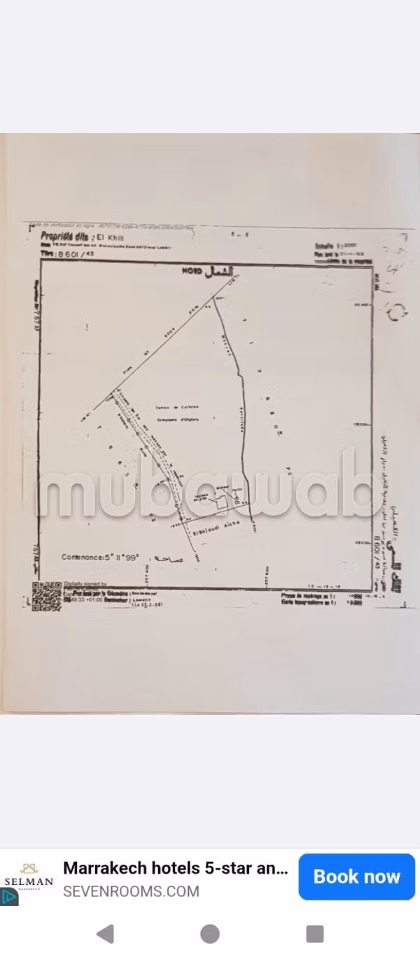 Venta de terreno en Sidi Youssef. Superficie total 50000 m²