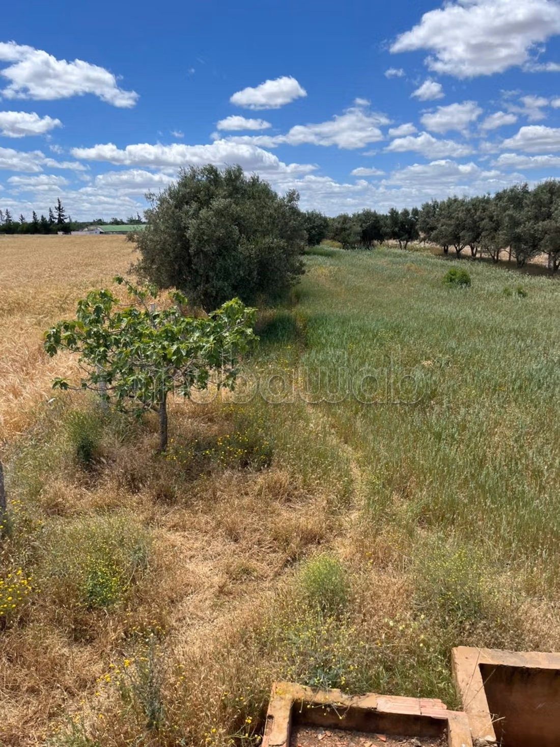 Terrain à vendre à