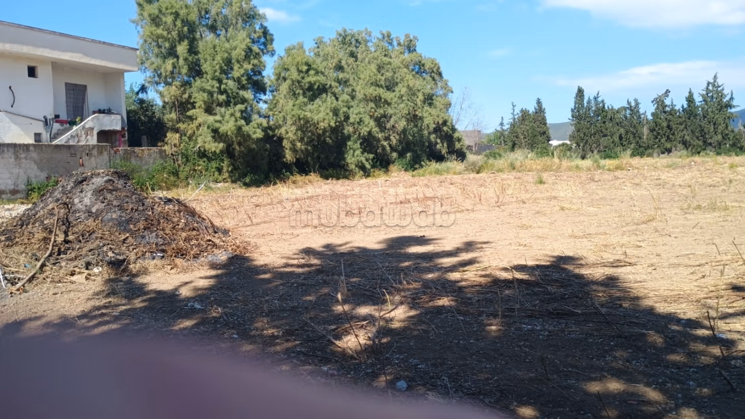 In vendita lotti di terreno a zaouia mornag