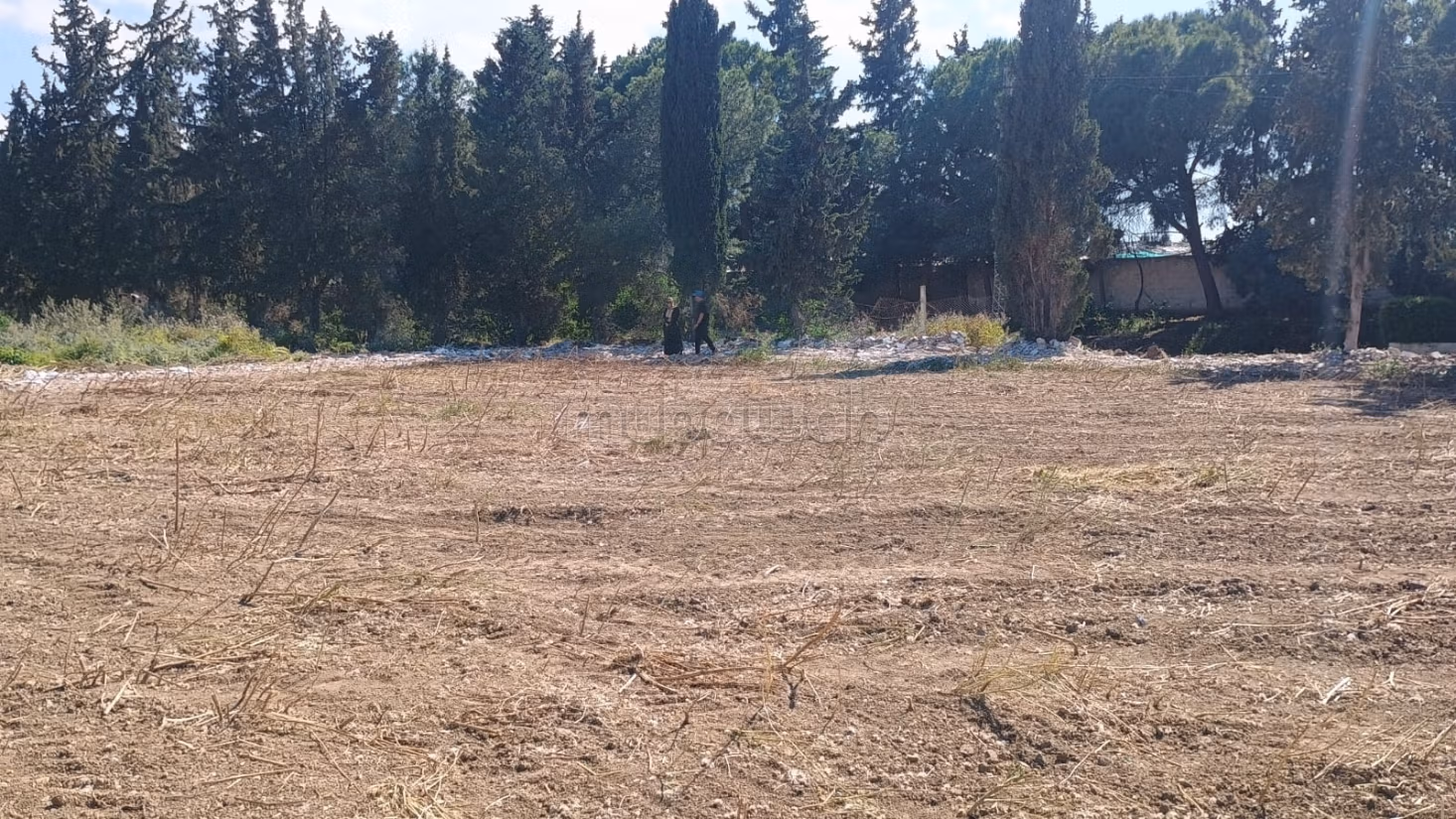 In vendita lotti di terreno a zaouia mornag