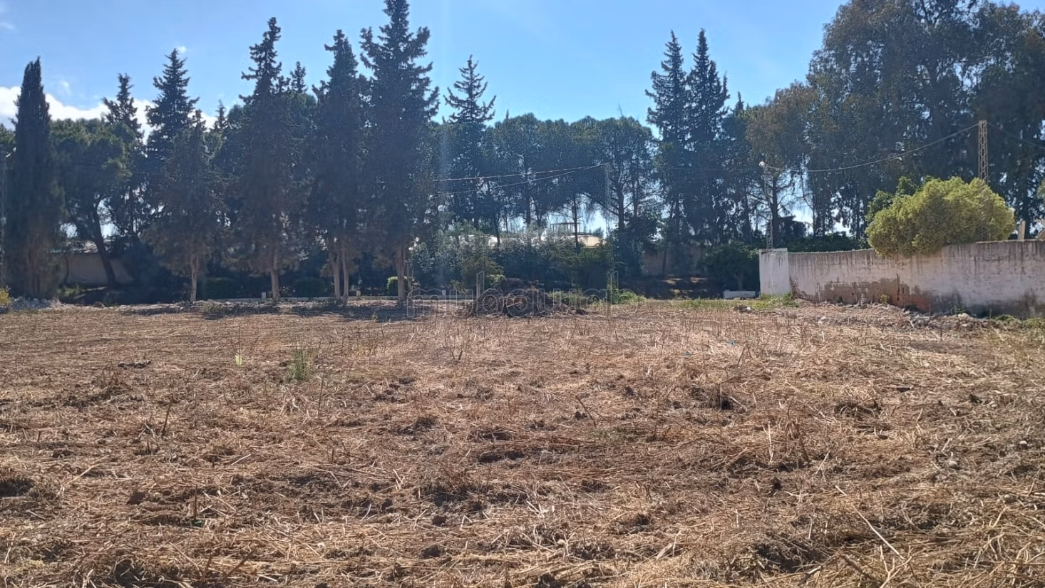 In vendita lotti di terreno a zaouia mornag