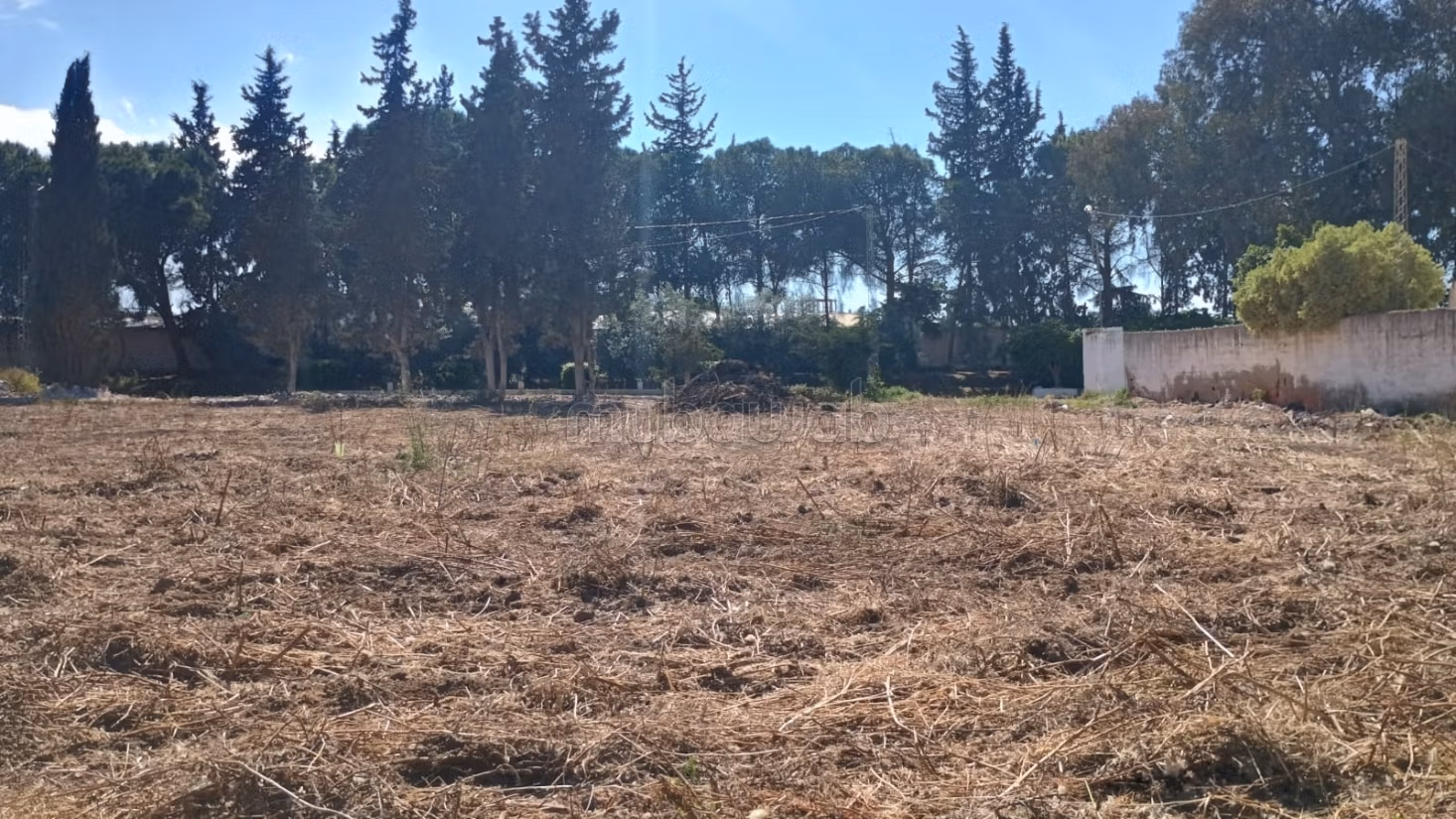 In vendita lotti di terreno a zaouia mornag