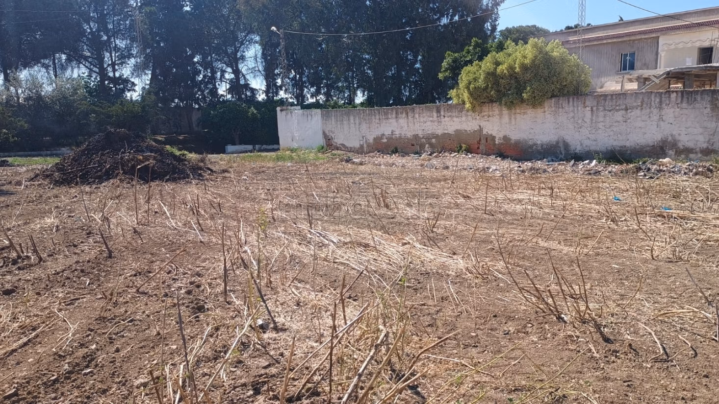 In vendita lotti di terreno a zaouia mornag