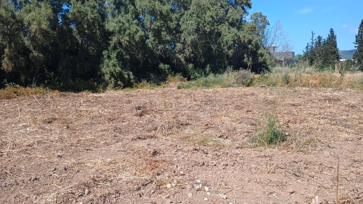 In vendita lotti di terreno a zaouia mornag