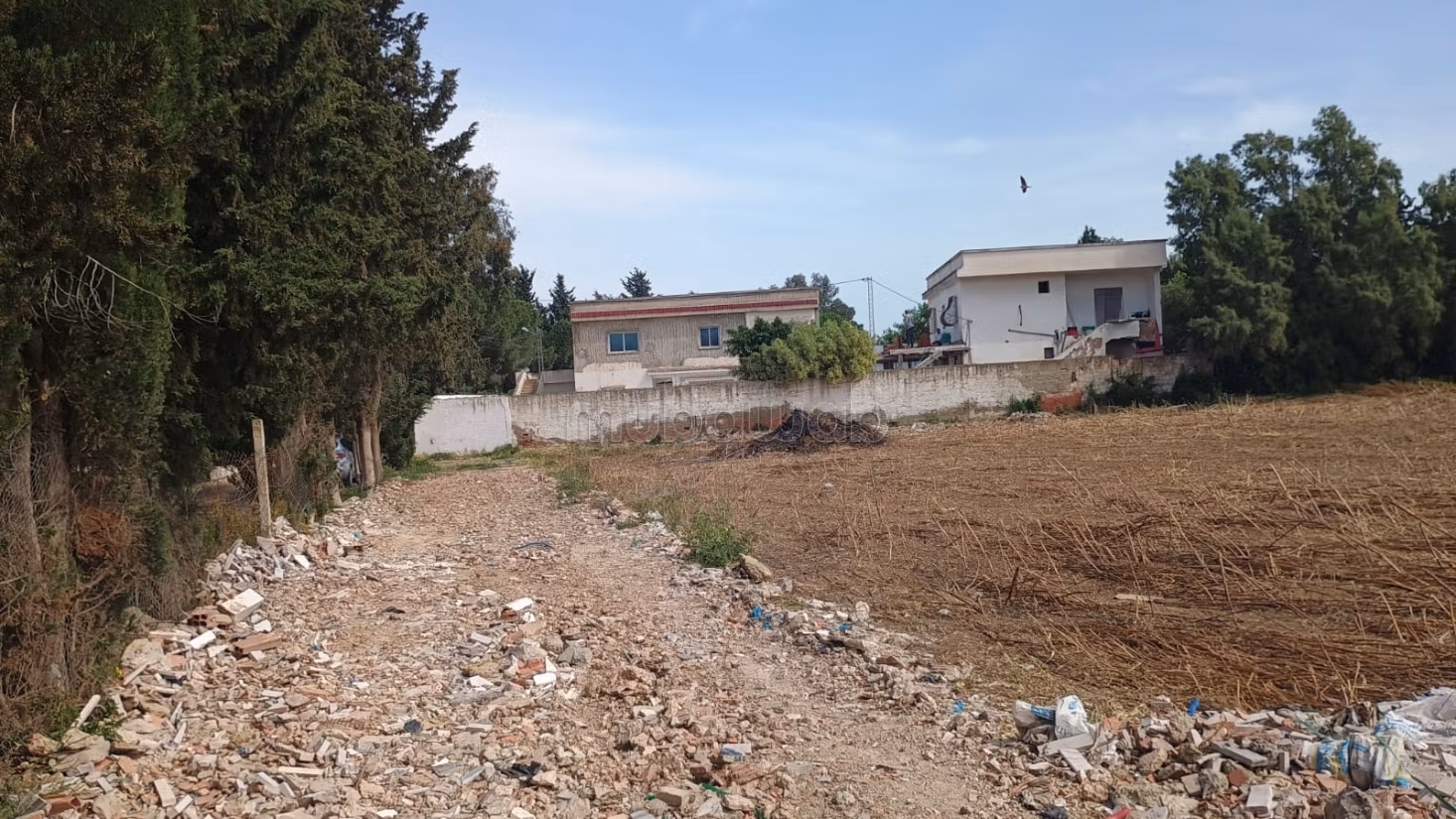 In vendita lotti di terreno a zaouia mornag