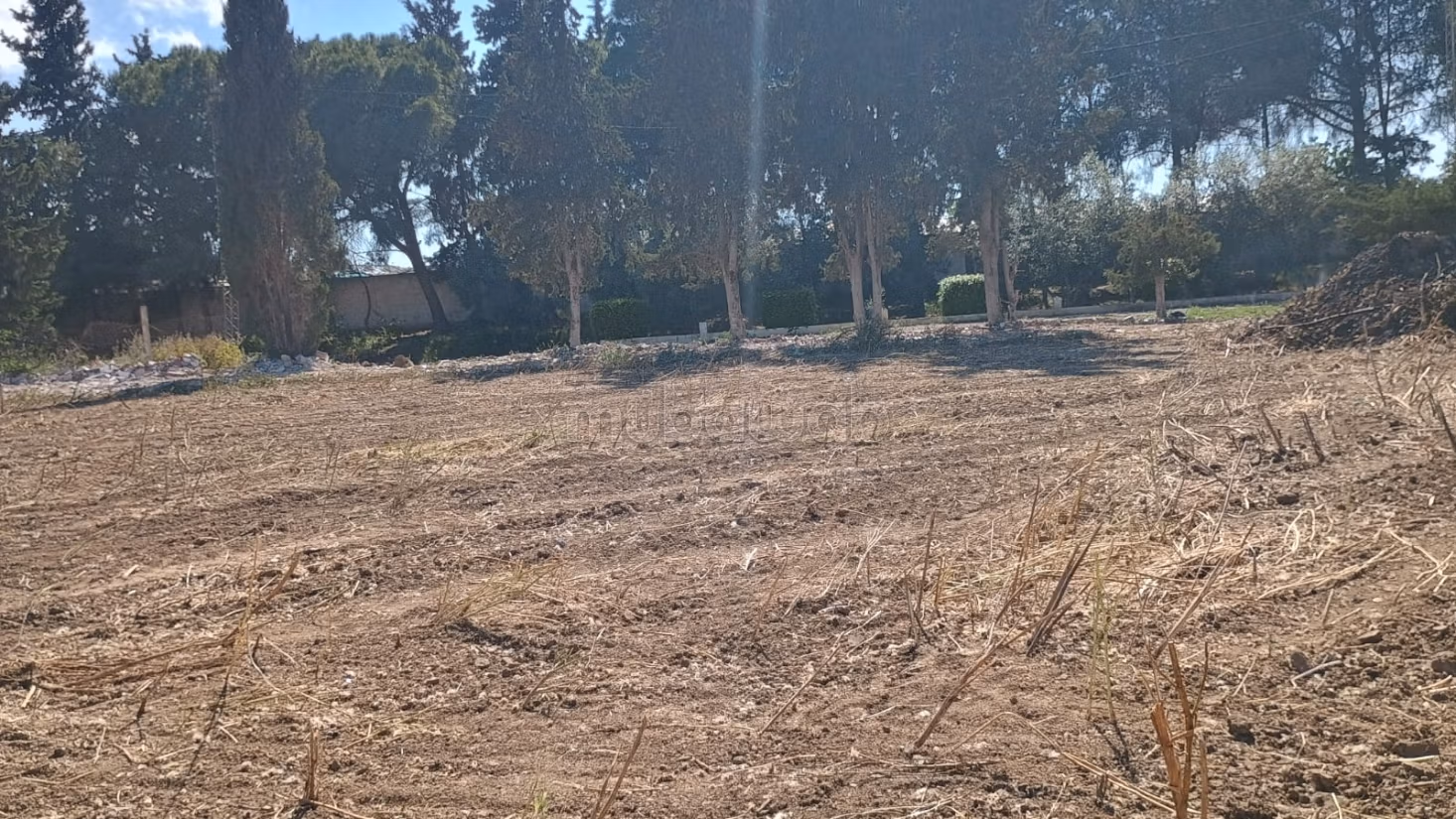 In vendita lotti di terreno a zaouia mornag