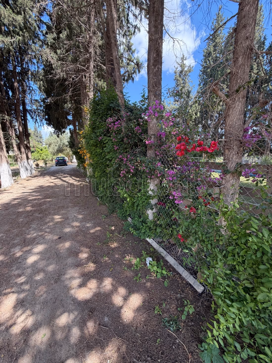 Maison d'hôte Mornag et son Immense Jardin