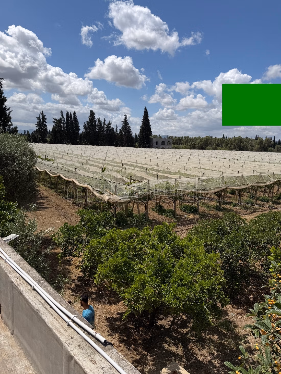 Maison d'hôte Mornag et son Immense Jardin
