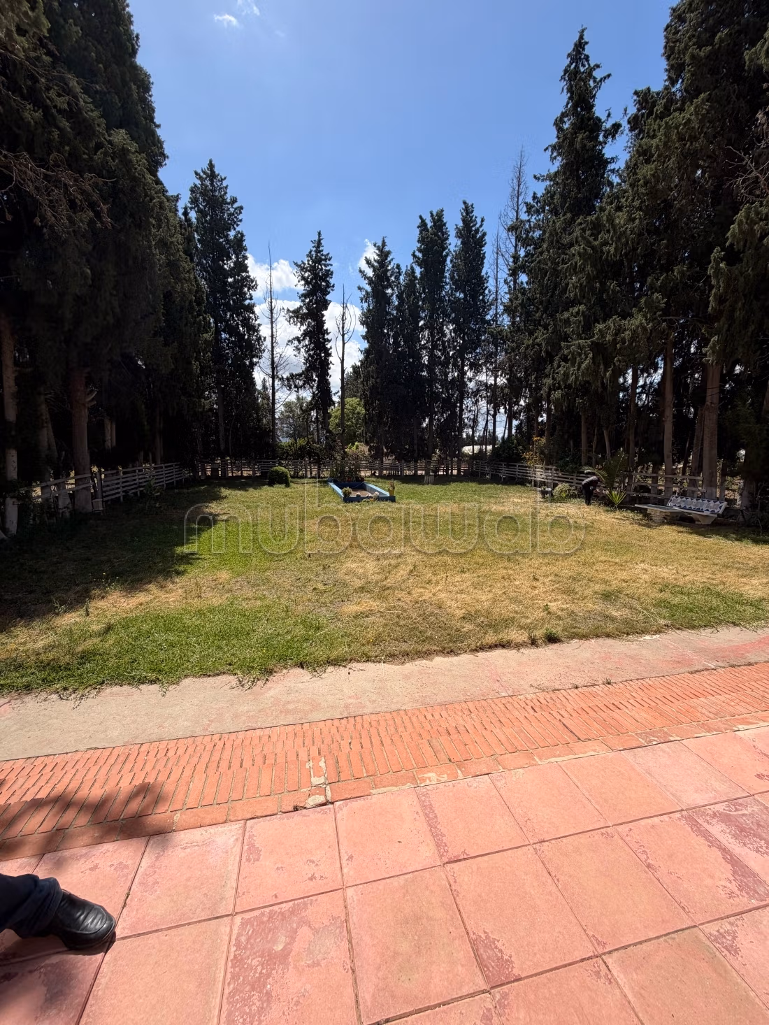 Maison d'hôte Mornag et son Immense Jardin