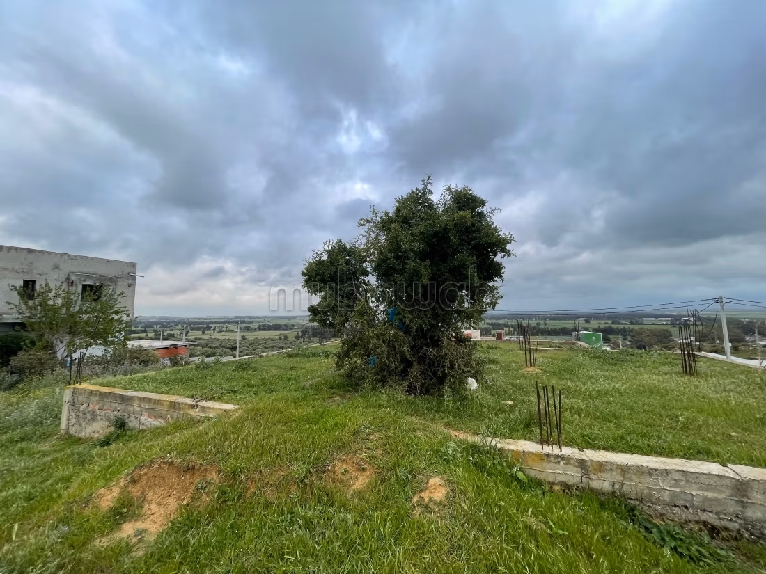 Terreno edificabile