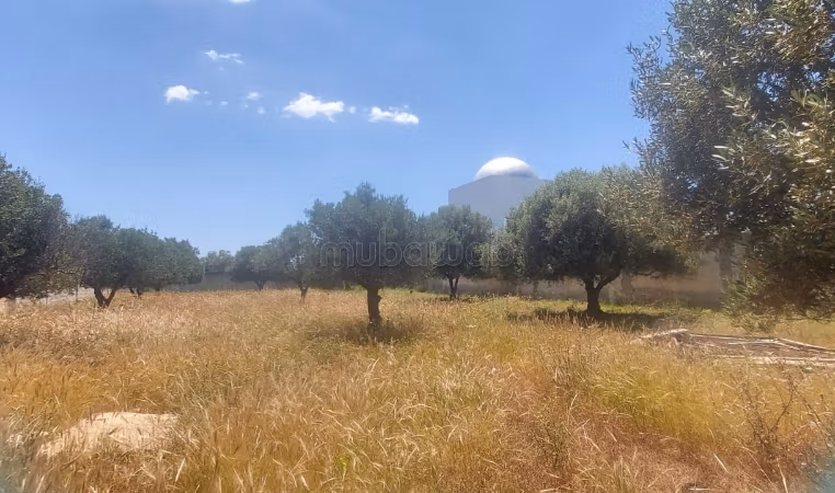 Terrain 1200 m² a sidi hammed Hammamet a vendre