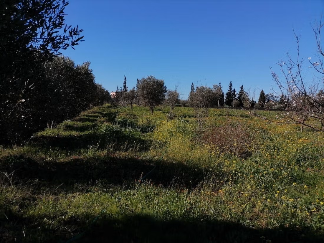 Grond te koop. Oppervlakte 15500 m²