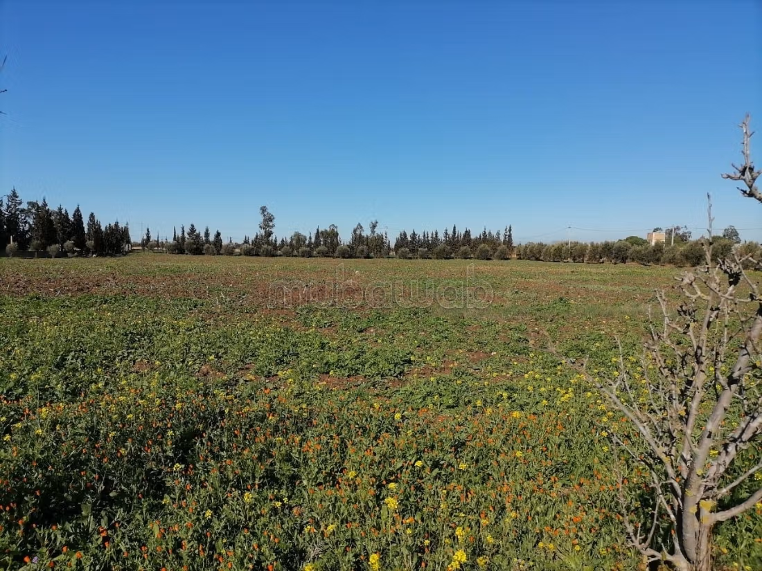 Grond te koop. Oppervlakte 15500 m²