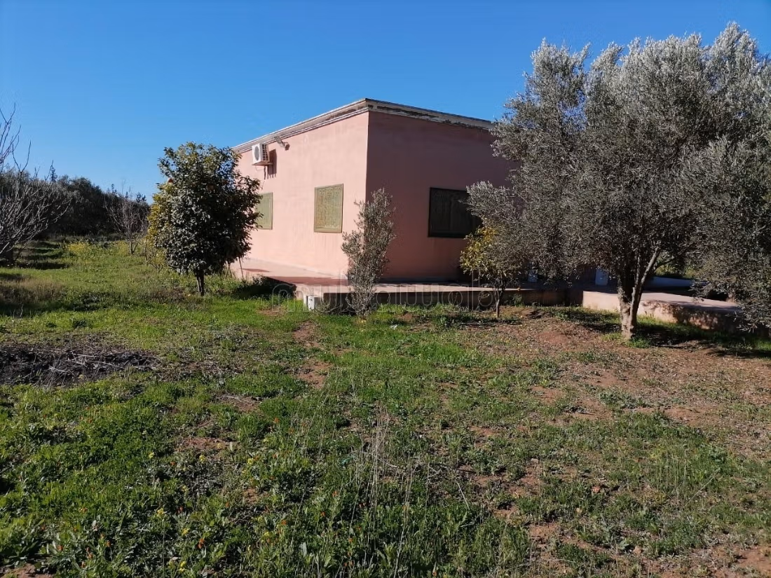 Grond te koop. Oppervlakte 15500 m²