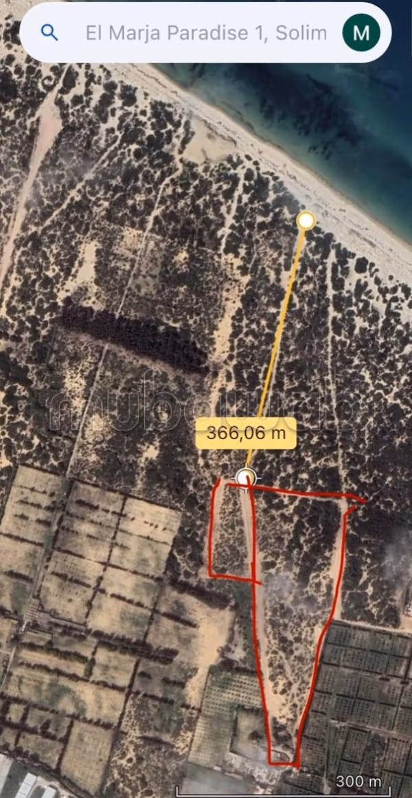A vendre terrain 4 hectare plage 
Soliman marjaa