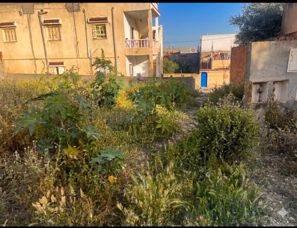 Terrain a vendre a jaafar Raoued
