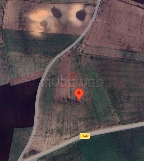 Venta de Terreno Agrícola en Berrechid