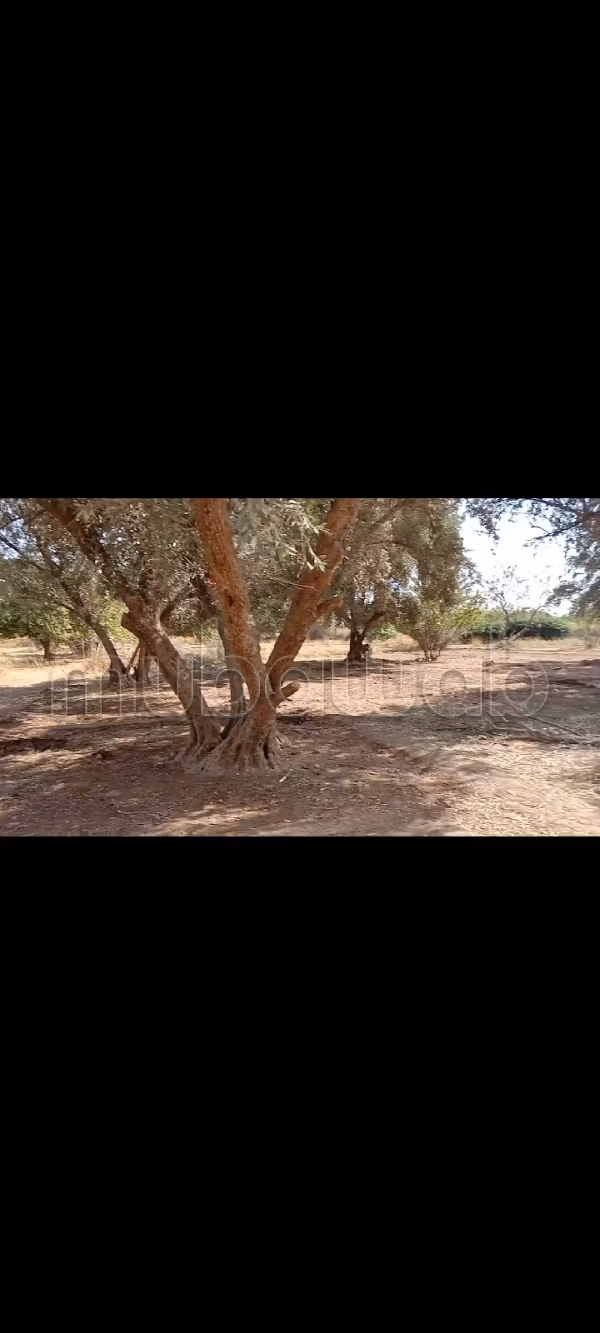 Te koop grond in Marrakech tassaltant
