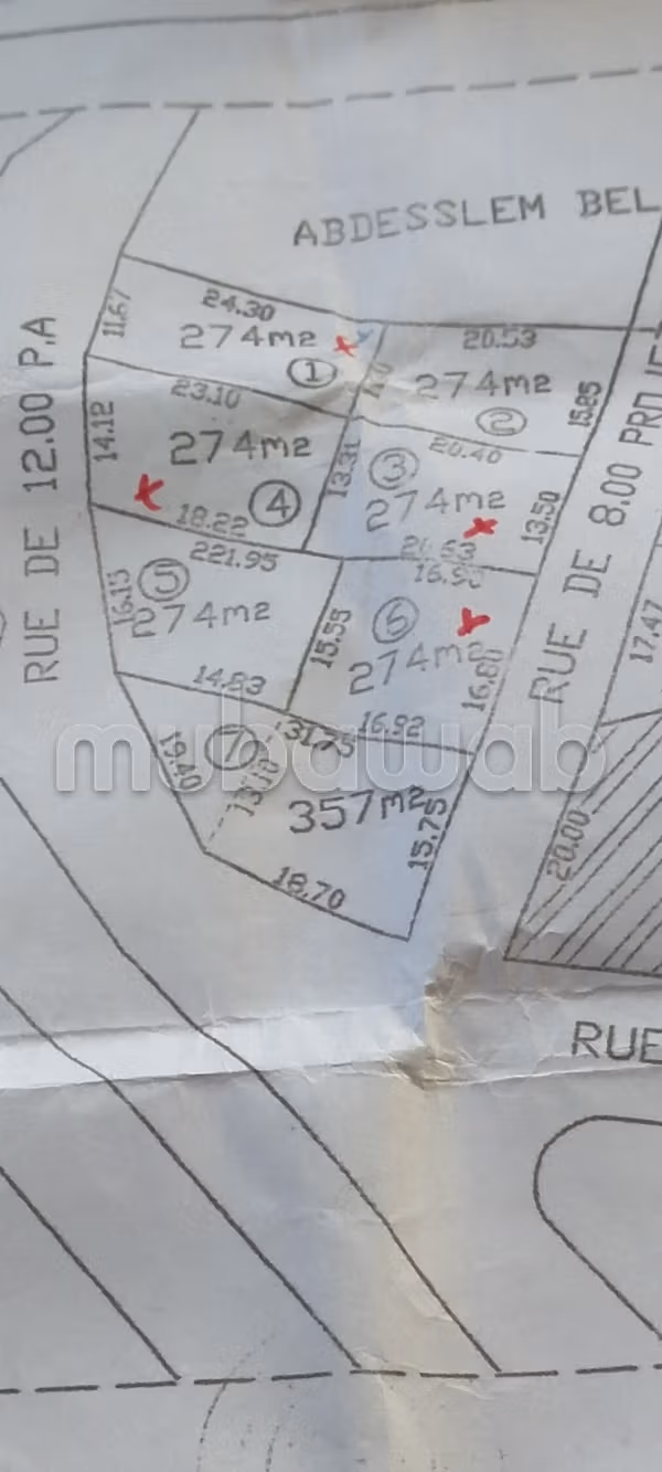 Lots de 274 m2 à vendre à el Haouaria