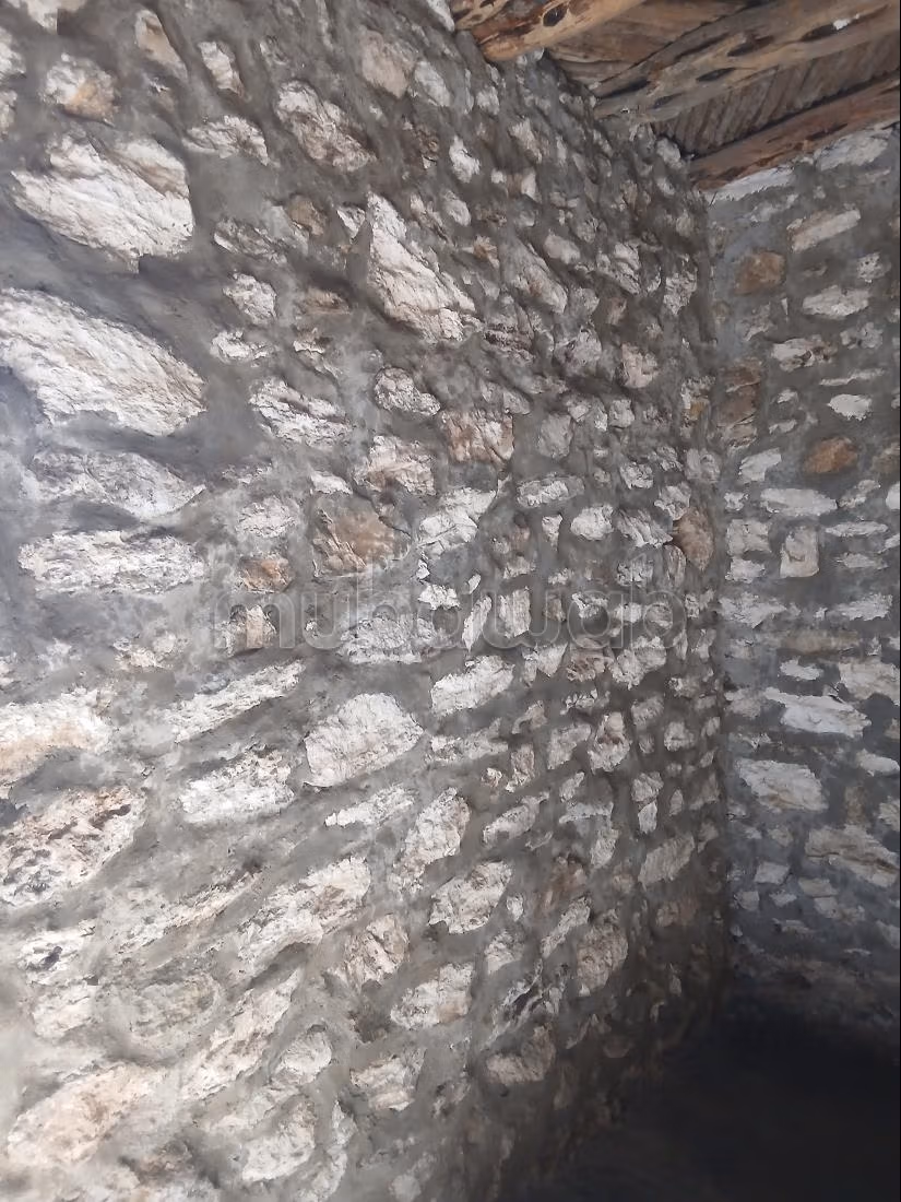 Maison neuve location longue dureé