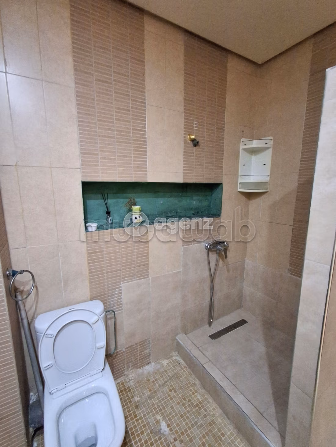 Appartement 161 m² à Les Hôpitaux — 10