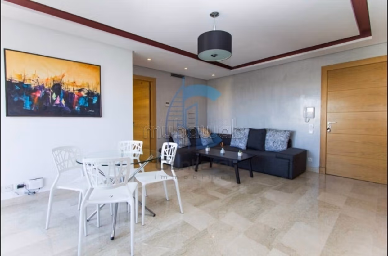 Location magnifique studio palmier